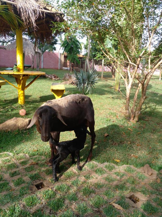 Pousada Café da Roça Campos Gerais Esterno foto