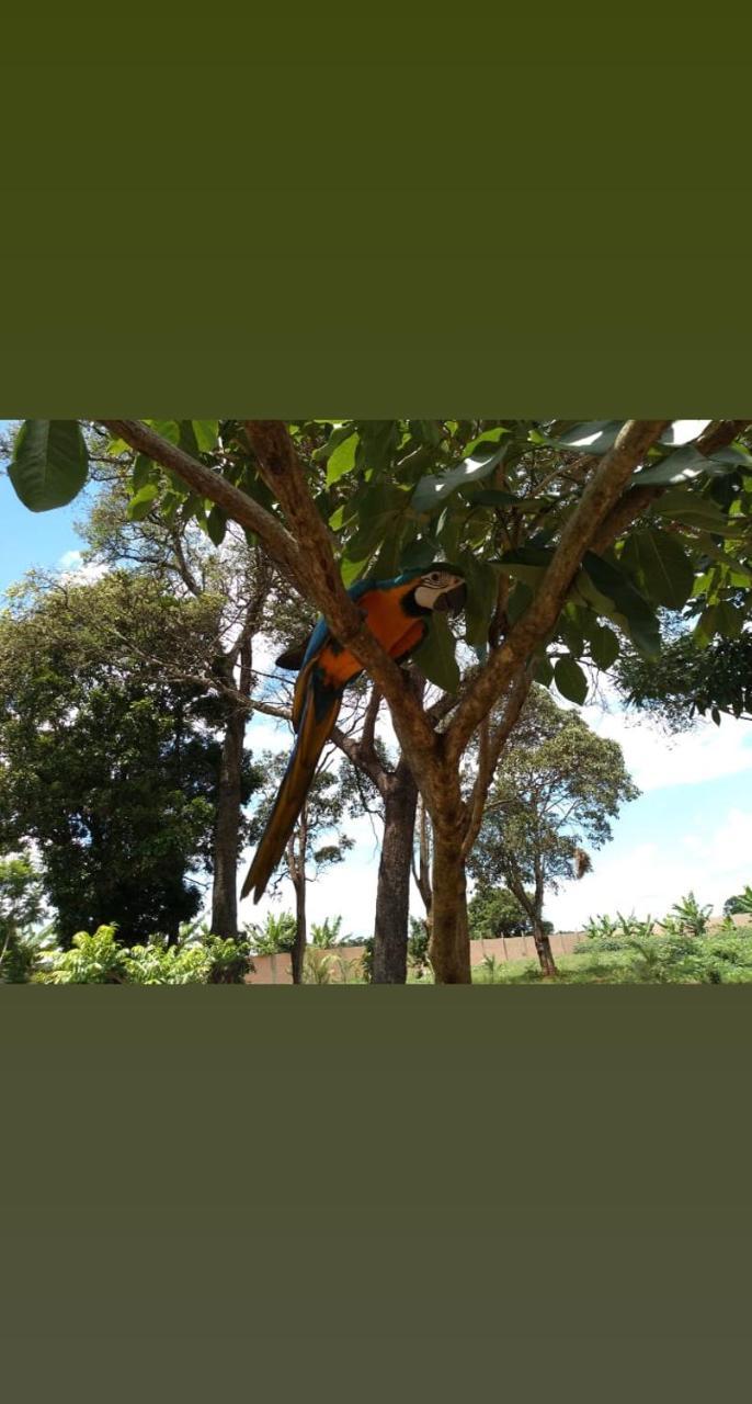 Pousada Café da Roça Campos Gerais Esterno foto